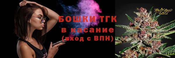 ПСИЛОЦИБИНОВЫЕ ГРИБЫ Дмитров