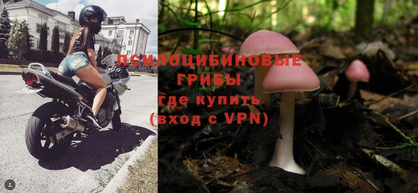 ПСИЛОЦИБИНОВЫЕ ГРИБЫ Дмитров
