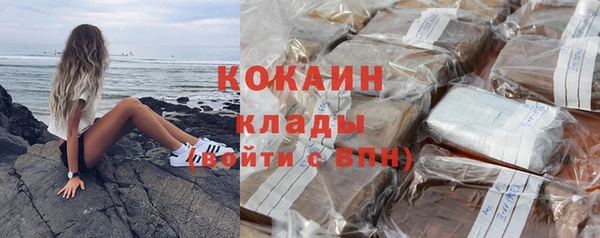 ешки Дмитриев