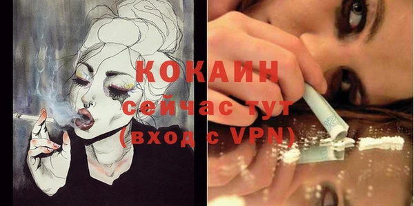 ешки Дмитриев