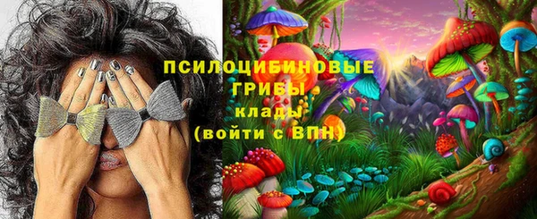 первитин Дмитровск